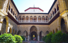 The Best Day Tours548