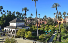 The Best Day Tours549