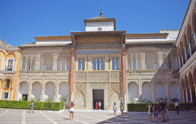 The Best Day Tours551