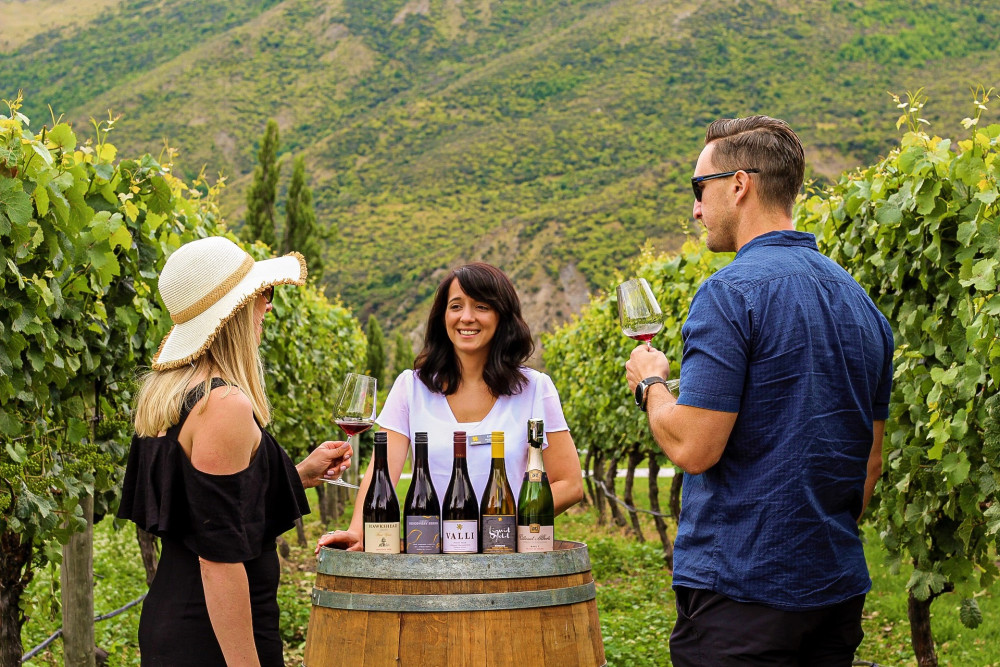 Afternoon – Classic Wine Tour
