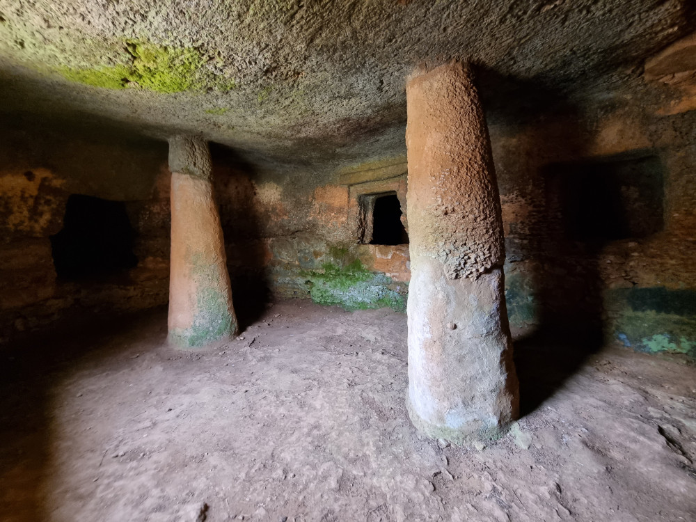 The Millenary Tour