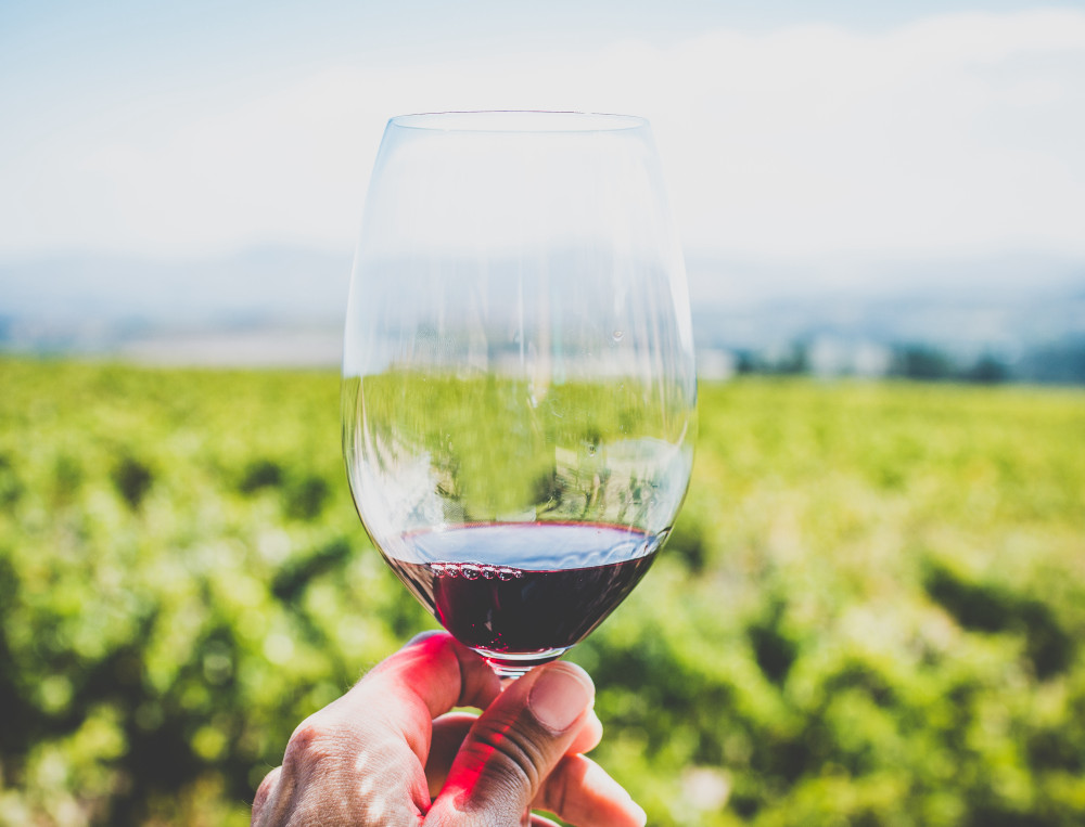 Photo Tournee & Aperitif in The Vineyard