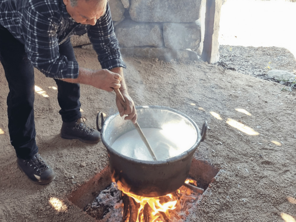 1 Day Tour in Barbagia with Cheese Making and Lunch