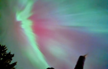 Into the Wild Tours1