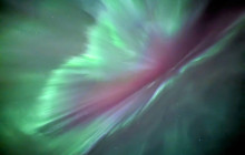 Into the Wild Tours4