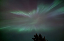 Into the Wild Tours5