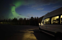 Into the Wild Tours7