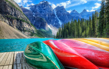 Into the Wild Tours4