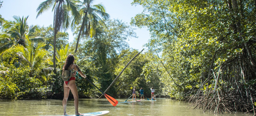 Damas Mangrove Eco-SUP: Wildlife & Calm Waters