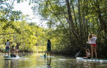 Greenway Nature Tours12