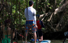 Greenway Nature Tours13