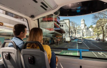 Great Sights Gray Line New Zealand5