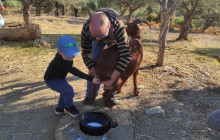 SAFARI EXPERTS CRETE8