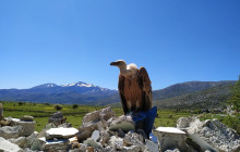 SAFARI EXPERTS CRETE11