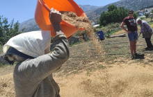 SAFARI EXPERTS CRETE15