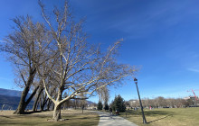 Lakeside Eco-Sports8