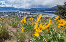 Lakeside Eco-Sports13