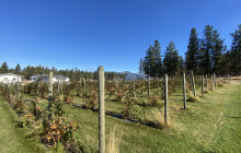 Lakeside Eco-Sports9