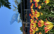 Lakeside Eco-Sports10