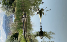 Lakeside Eco-Sports17