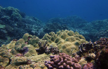 Hilo Ocean Adventures LLC3