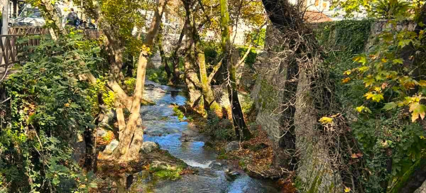 ''Full-Day Tour of Delphi-Byzantine Monastery of Hosios Loukas'',country Greece