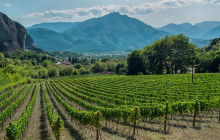 Avalon Travel Services1