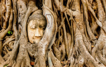 Discova Day Tours and Activities8