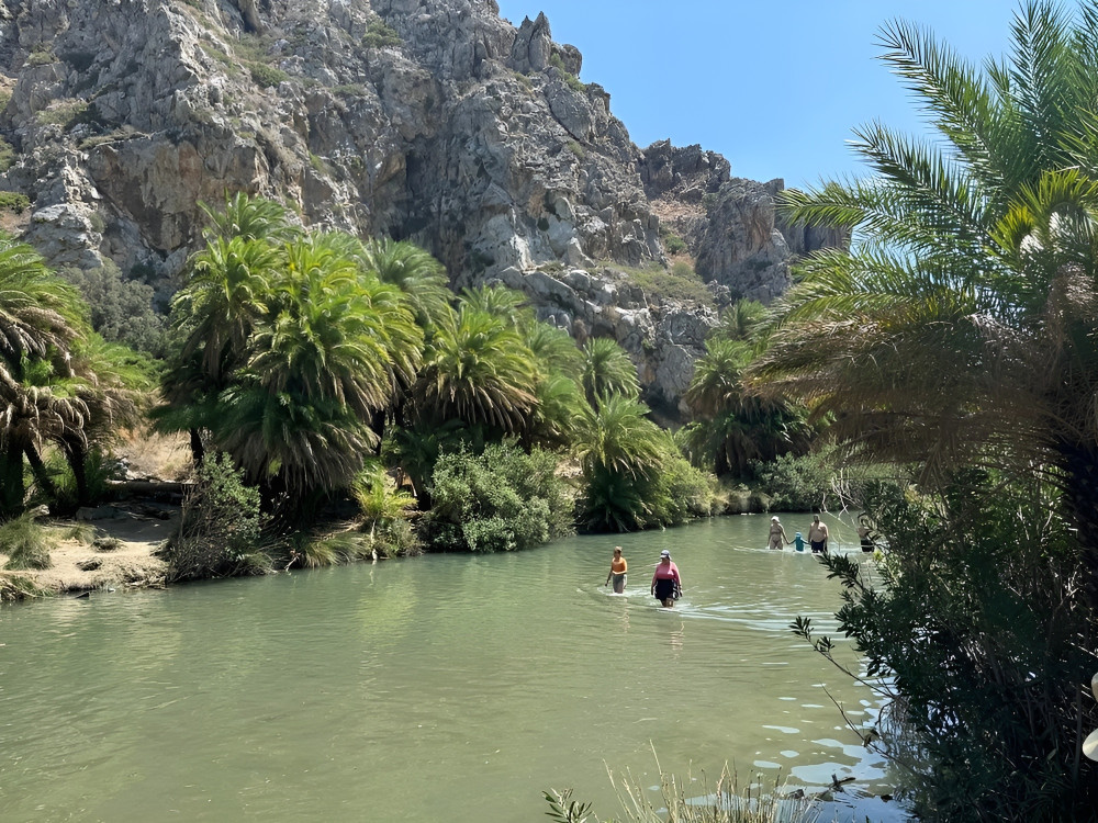 SAFARI EXPERTS CRETE