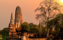 Discova Day Tours and Activities12