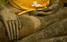 Discova Day Tours and Activities15