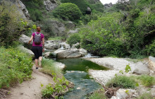 SAFARI EXPERTS CRETE19