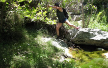 SAFARI EXPERTS CRETE19