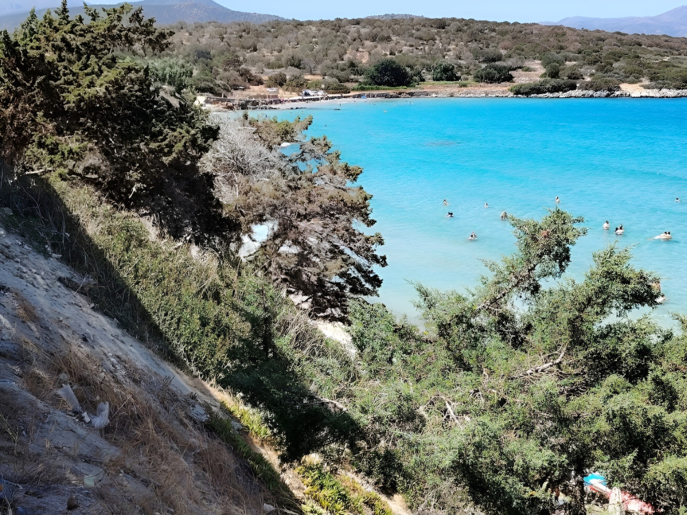 SAFARI EXPERTS CRETE