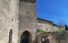 Rhône Trip10