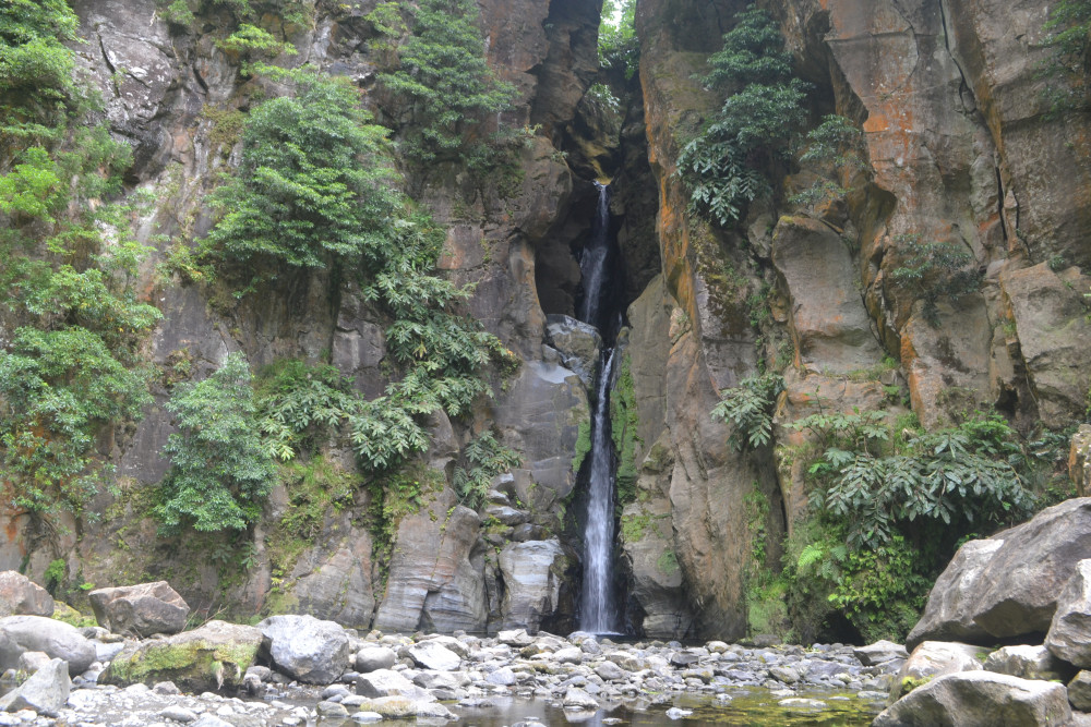 Greencorner Tours