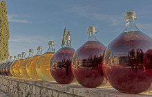 Azur Riviera Tourisme1