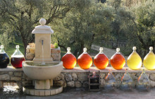 Azur Riviera Tourisme8