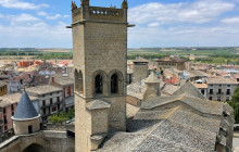 Local Experts Tours1