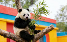 Discover Beijing Tours1