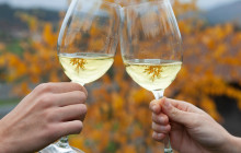 Local Experts Tours3