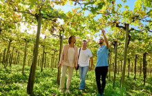 Local Experts Tours1