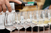 Local Experts Tours4