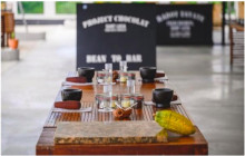 SPIRIT JOURNEYS LTD19
