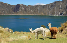 Latin Adventures4
