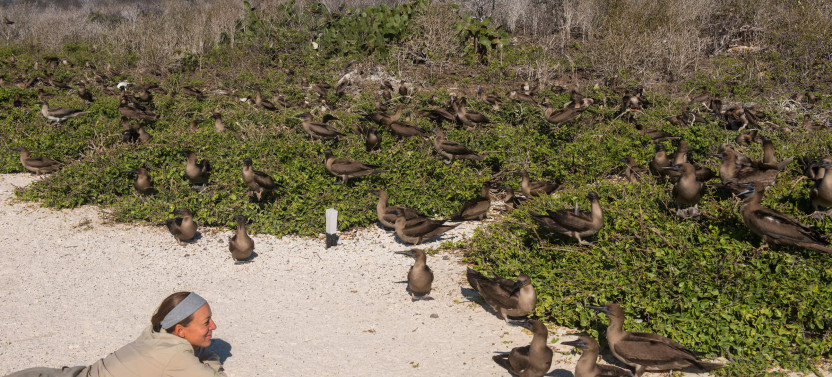 Premium Galápagos Island Hopping Tour | 8-Day Three Islands Journey