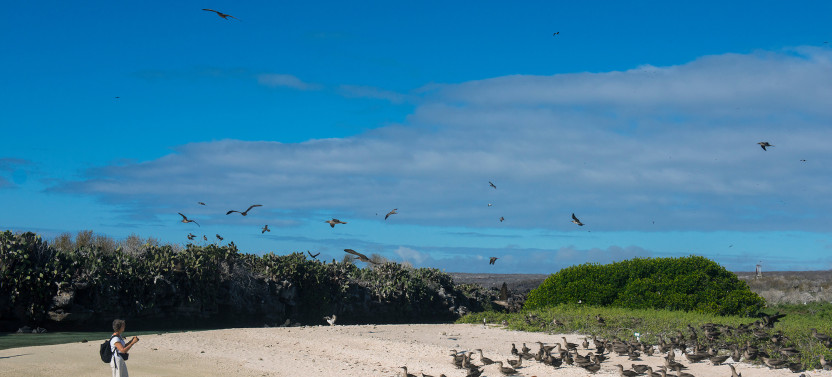 Premium Galápagos Island Hopping Tour | 8-Day Three Islands Journey