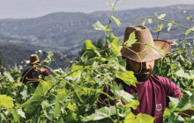 Greece Athens Taxi GAT4