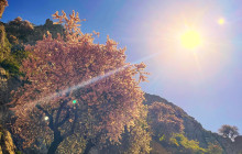 Greece Athens Taxi GAT24