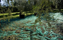 Greece Athens Taxi GAT1